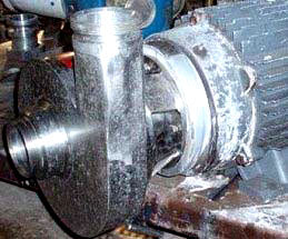 Centri Compact Stainless Steel Centrifugal Pump Centri 