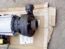 Centrifugal Pump - 5 HP Not Specified 