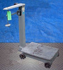 Certified Platform Scales Not Specified 