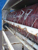 Chisholm Ryder Green Bean Cutter Chisholm Ryder 