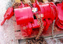 Columbus McKinnon Chain Hoist- 5 Ton Columbus McKinnon 