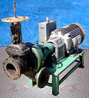 Crane Deming Centrifugal Pump 4066 Series Crane Deming 