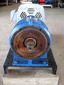 Paco 11-30707146201A06-2 Bomba centrífuga (20 HP, 350 GPM máx.)