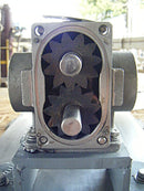 ECO GearChem® Positive Displacement Pump Eco Gearchem 