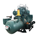 FES Rotary Screw Booster Compressor Package - 250 HP FES 