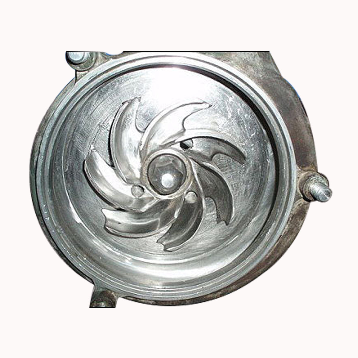 Fristam FPX-Series Sanitary Centrifugal Pump