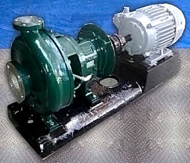 Goulds Alloy 20 3196-MTX Pump - 15 HP Goulds 