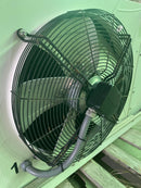 Guntner AGHN 050.2F/16-A0L/28P.M Ammonia Evaporator Coil- 4TR, 1 Fan (Low/Medium Temperature) Guntner 