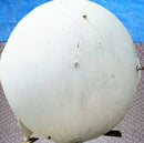 Horizontal Tank - 3,000 Gallon Genemco 