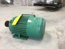 Motor Teco BECSFD (5 HP, 1750 RPM, 230 V)