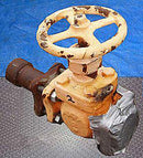 In-Line Ammonia Valve - 2 in. Not Specified 