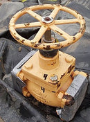 In-Line Ammonia Valves Not Specified 