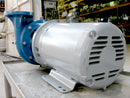 Jacuzzi Centrifugal Pump Jacuzzi 