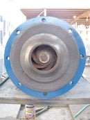 Jacuzzi Centrifugal Pump Jacuzzi 