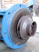 Jacuzzi Centrifugal Pump Jacuzzi 