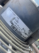 Paquete de cámara frigorífica sin cita previa que incluye unidades de refrigeración (40' de largo x 14' de alto x 20' de ancho)