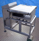 Loma Heavy Weight Checkweigher Loma Cintex 