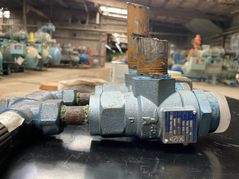 Hansen H5601 Pop-Eye Pressure Relief Valve ( 1/2" x 1")