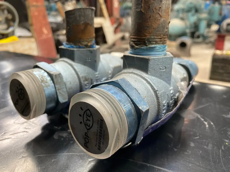 Hansen H5601 Pop-Eye Pressure Relief Valve ( 1/2" x 1")
