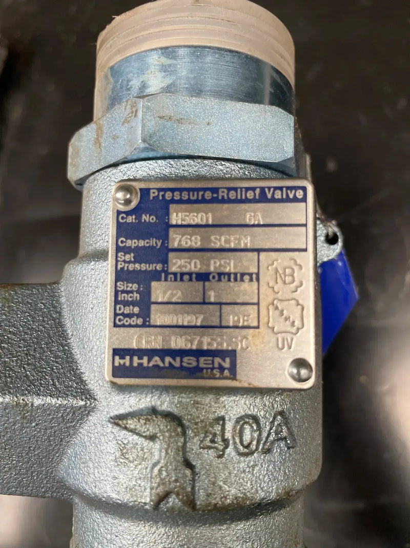 Hansen H5601 Pop-Eye Pressure Relief Valve ( 1/2" x 1")