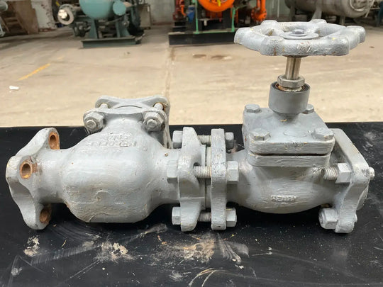 Válvula de globo de cierre con filtro Henry Technologies (2")