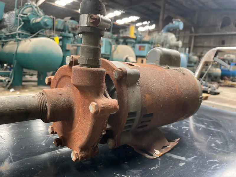 Dayton Centrifugal Pump (0.75 HP)