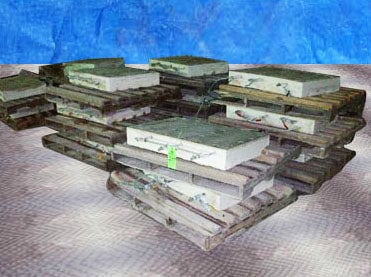 Mold Units Not Specified 