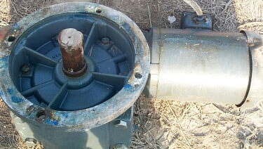 Motor with Gearbox Not Specified 