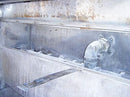 Niagara No-Frost® Concentrator Niagara 