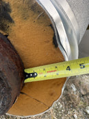 Recirculador de amoníaco vertical RVS (42 pulg. x 144 pulg., 1031 galones. (2) bombas de 3,4 HP.)