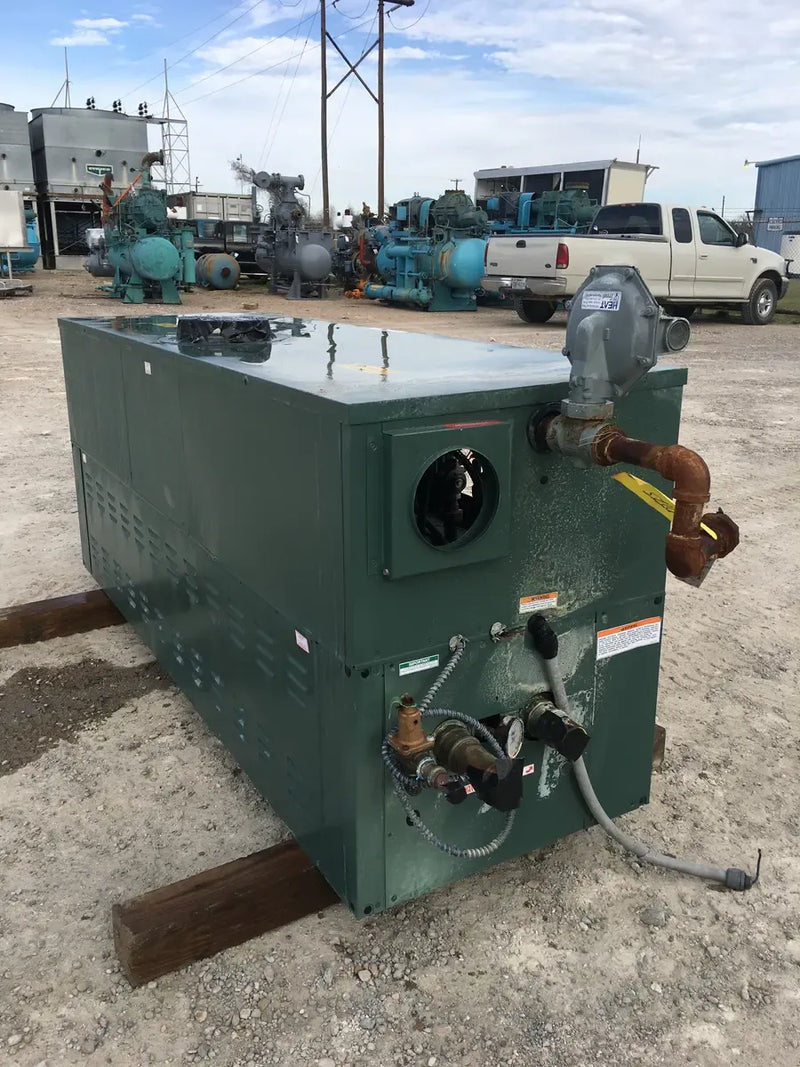 Raypak Delta Indoor/Outdoor Hydronic Boiler - 66 HP
