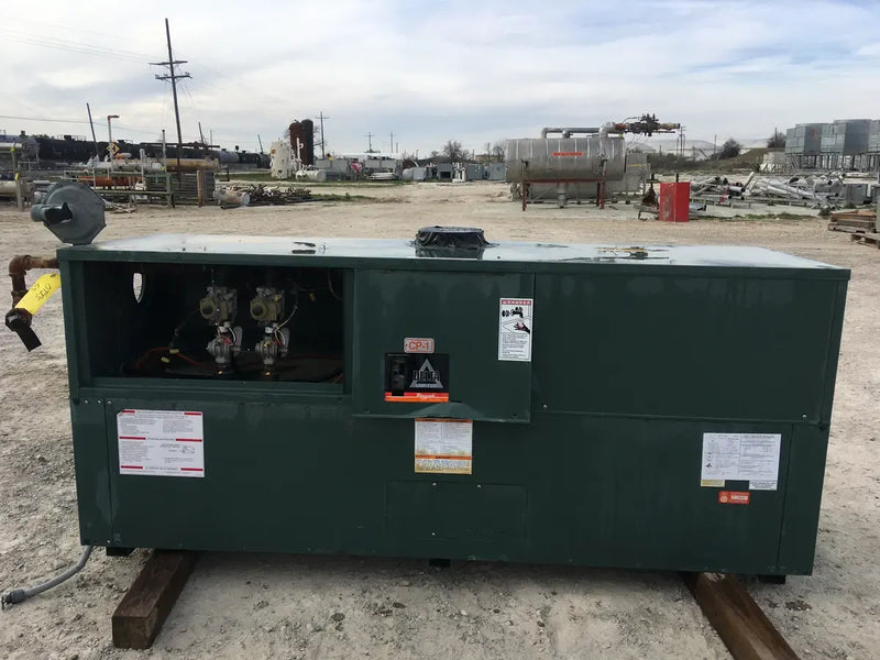 Raypak Delta Indoor/Outdoor Hydronic Boiler - 66 HP