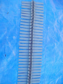 Plastic Conveyor Belt – 12 inch wide Not Specified 