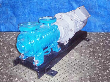 Pompetravaini S.P.A. Castano Primo B1 Vacuum Pump. Pompetravaini S.P.A. 