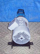 Pompetravaini S.P.A. Castano Primo B1 Vacuum Pump. Pompetravaini S.P.A. 