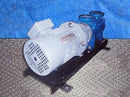 Pompetravaini S.P.A. Castano Primo B1 Vacuum Pump. Pompetravaini S.P.A. 
