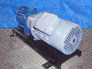 Pompetravaini S.P.A. Castano Primo B1 Vacuum Pump. Pompetravaini S.P.A. 