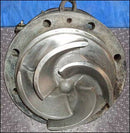 Power D Sanitary Centrifugal Pump - 4x3x8 Power D 