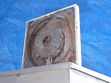 President Hammer Mill with Stainless Steel Hopper- 60 Gallon President 