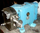 Pureflo Positive Displacement Rotary Pump Pureflo 