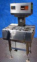 Ramsey Icore Mark II Checkweigher Ramsey Technology 