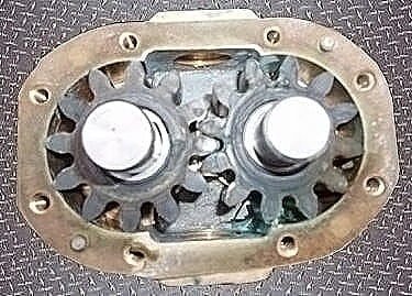 Rotary Positive Displacement Pump Not Specified 