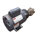 Rotary Positive Displacement Pump Zander 