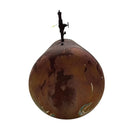 RVS  Horizontal Ammonia Receiver ( 35in. X 70in. 390 Gallons)