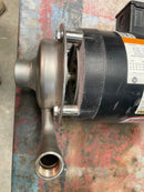 SS Dayton/Teel 1P801B Centrifugal Pump (.75 HP) Dayton/Teel 
