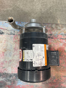 SS Dayton/Teel 1P801B Centrifugal Pump (.75 HP) Dayton/Teel 