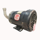 SS Dayton/Teel 1P801B Centrifugal Pump (.75 HP) Dayton/Teel 