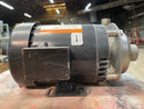 SS Dayton/Teel 1P801B Centrifugal Pump (.75 HP) Dayton/Teel 