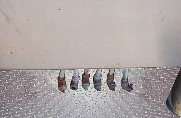 Stainless Steel 15-Valve Rotary Filler Not Specified 