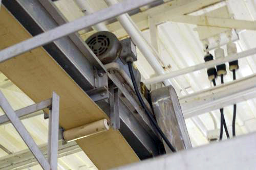 Stainless Steel Belt Conveyor Not Specified 